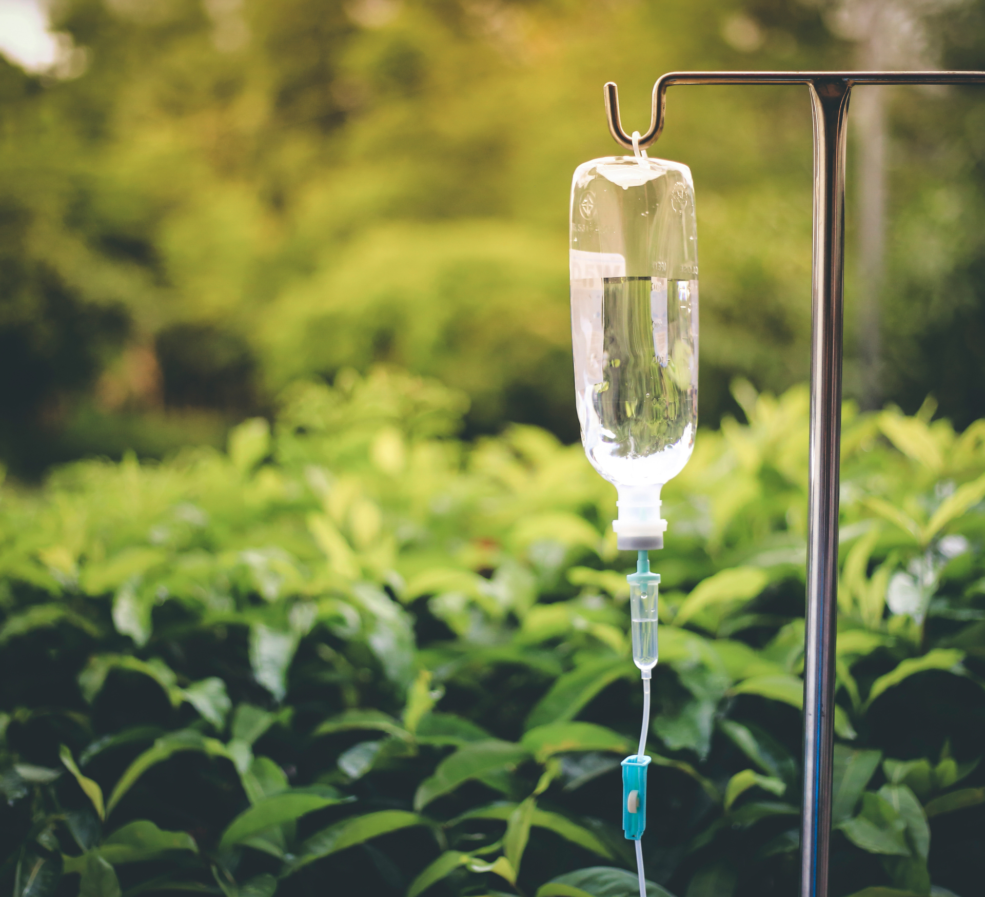 iv glutathione toronto Glutathione IV Therapy for Detoxification and Wellness Support
